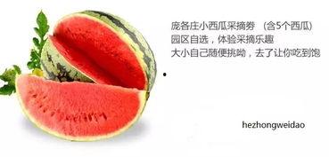 娱乐吃瓜固定模版如何做,揭秘明星幕后故事，带你领略明星们的真实生活  第2张